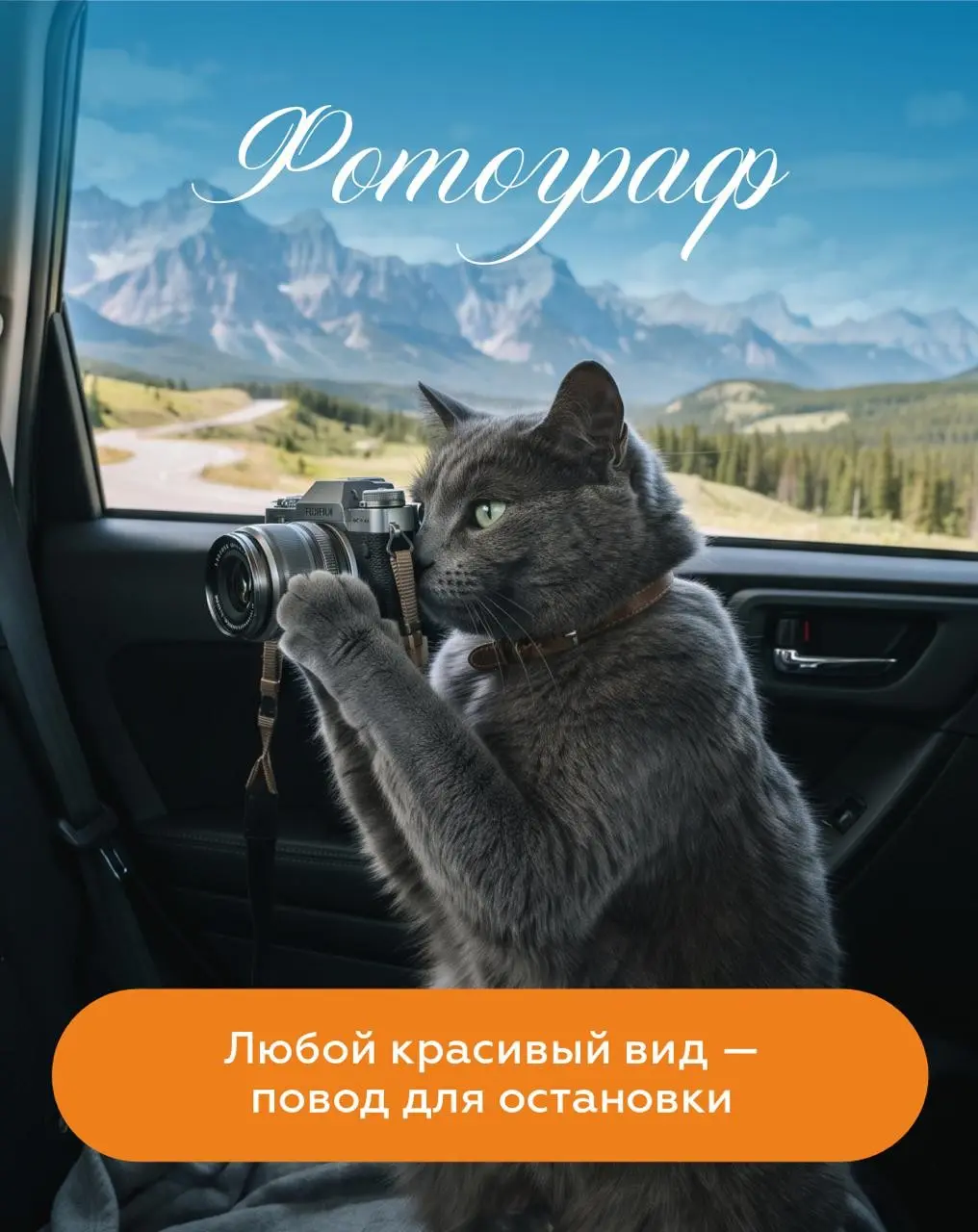 В дороге все мы открываемся с новой стороны 🙂 | Сетка — социальная сеть от hh.ru