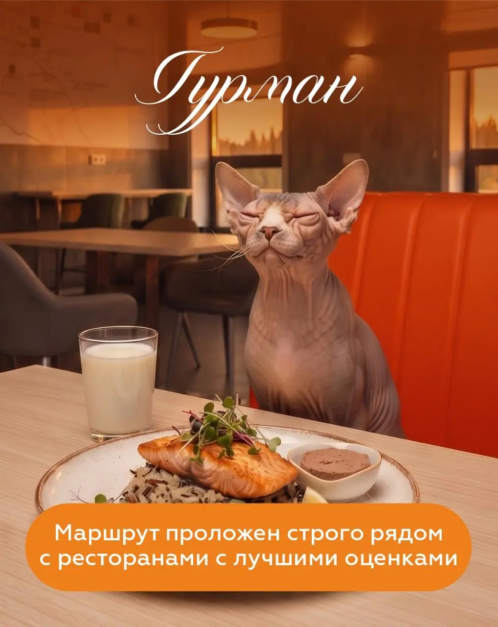 В дороге все мы открываемся с новой стороны 🙂 | Сетка — социальная сеть от hh.ru