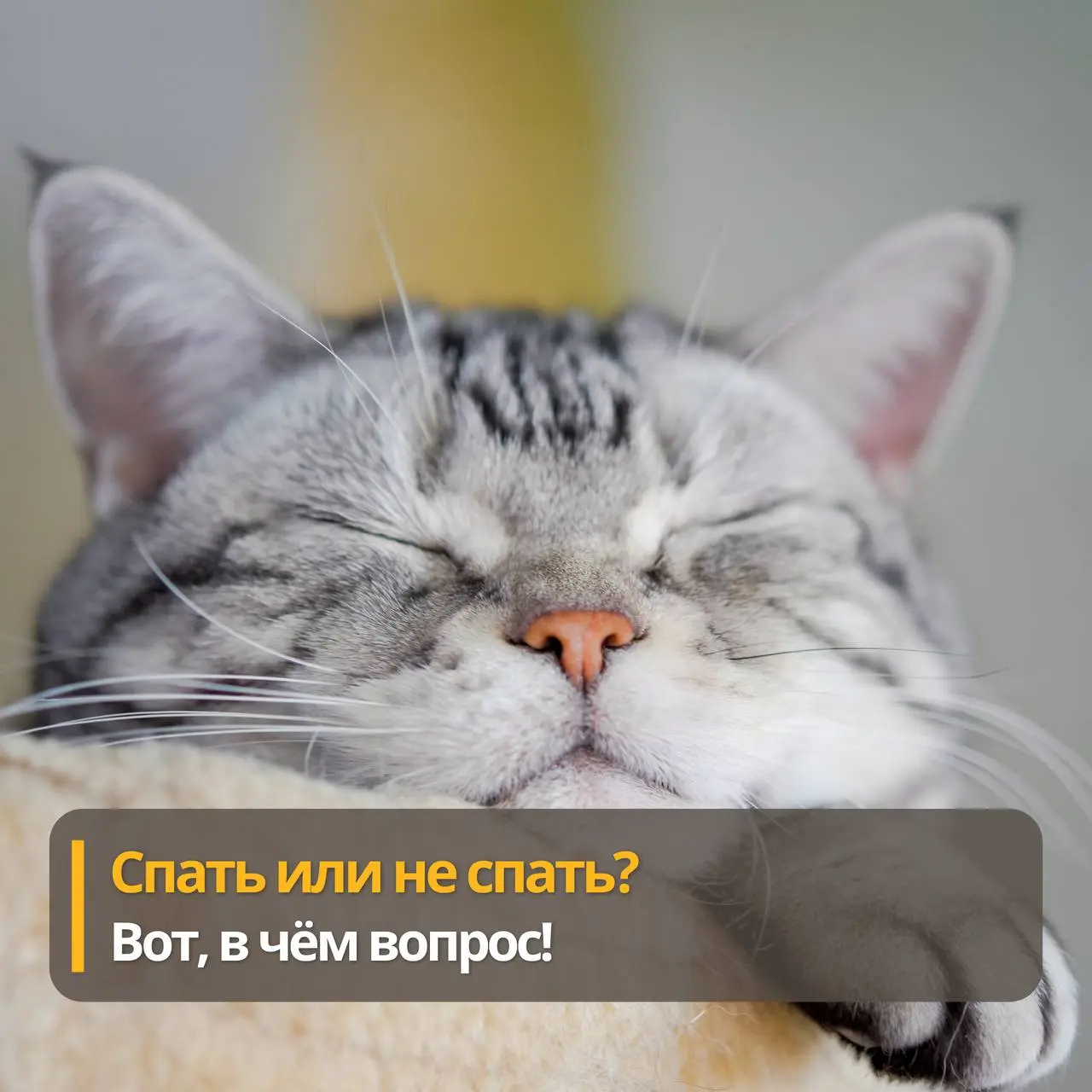 Гибкий ЗОЖ. Простой способ мыслить ясно
Одно из самых ярких воспоминаний о детском саду - это летающие подушки во время дневного сна. И вместо сна | Сетка — социальная сеть от hh.ru