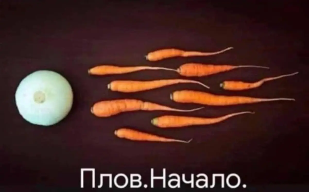 Понаехали в Узбекистан | Сетка — социальная сеть от hh.ru