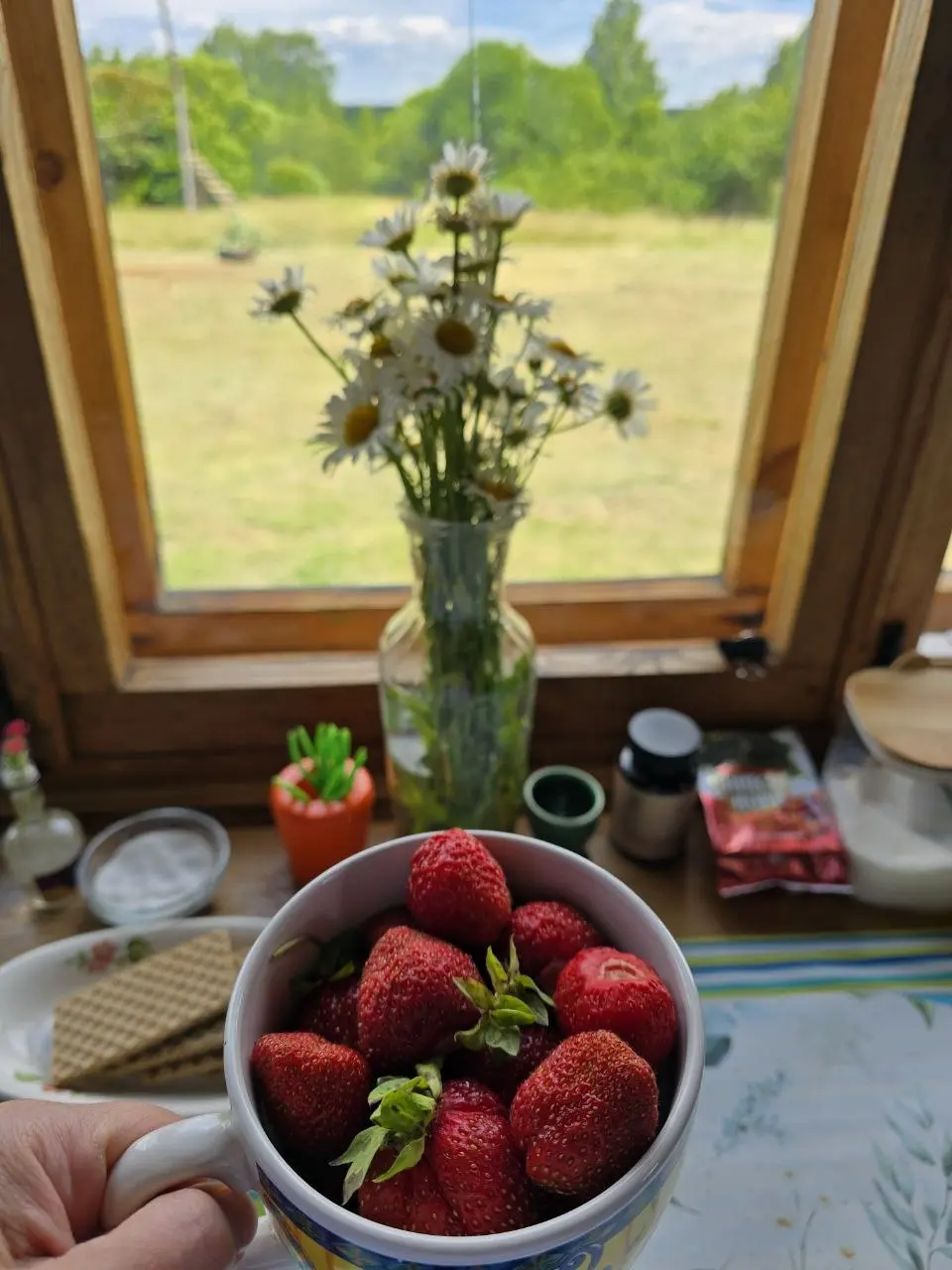 Сегодня чудесный денёк, я на спорте. Природа прекрасна😍.
Это кстати место где проходили съёмки фильма "Князь Андрей" и совсем не давно группа "Тутси" снимали тут клип | Сетка — социальная сеть от hh.ru
