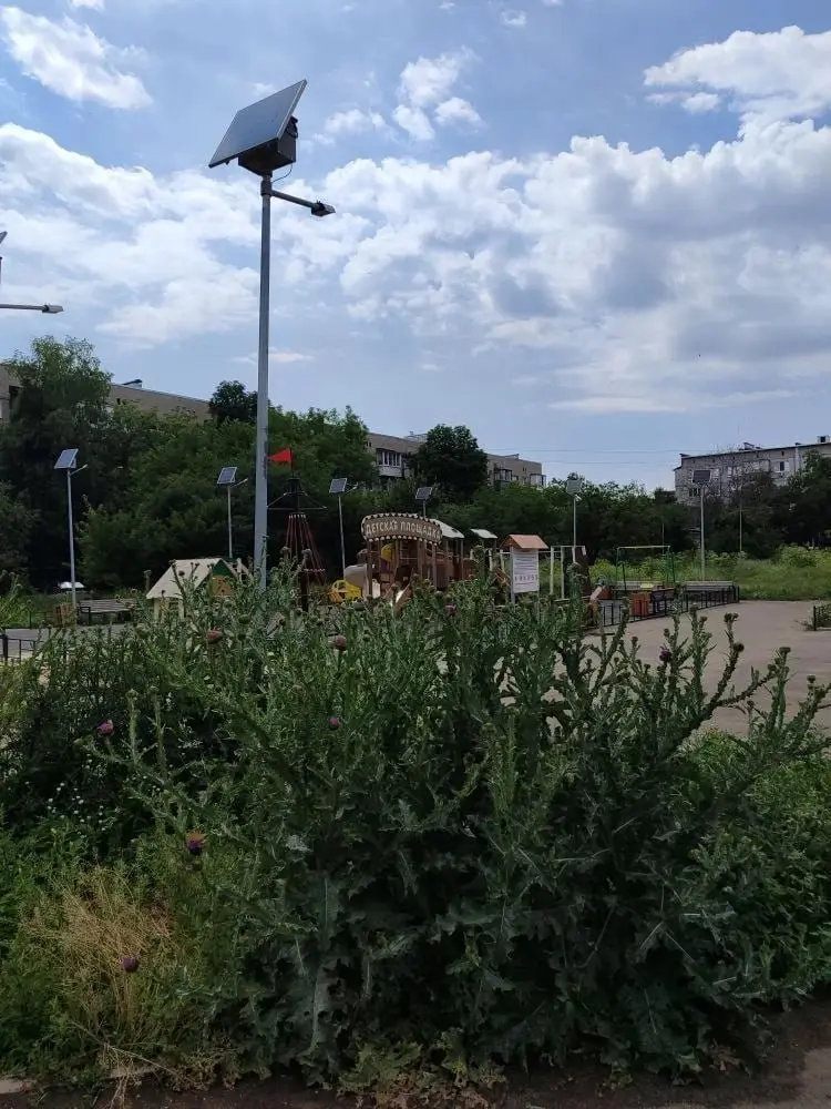 Заросла детская площадка на ул.Героев Сталинграда в Макеевке | Сетка — социальная сеть от hh.ru