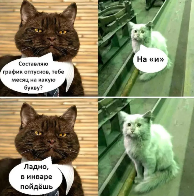 Сетка — социальная сеть от hh.ru