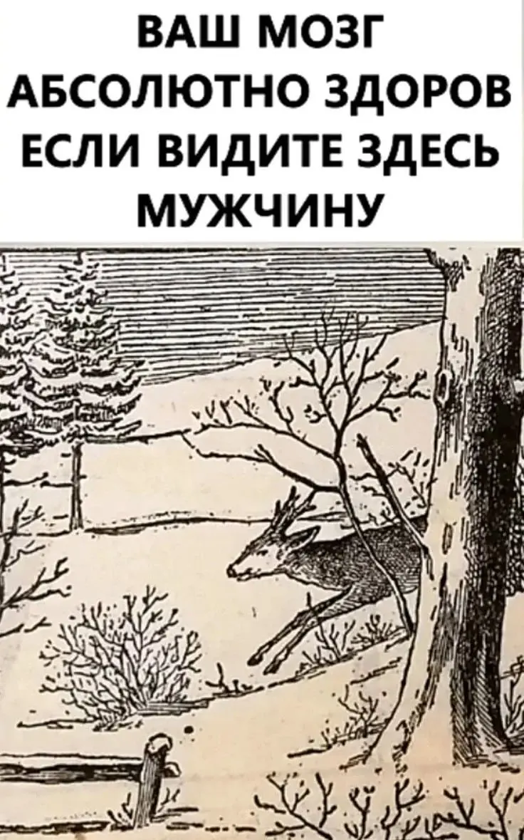 Потренируем мозг | Сетка — социальная сеть от hh.ru