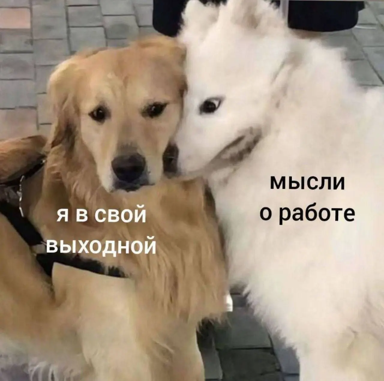 У вас тоже выходные пролетают быстро ? | Сетка — социальная сеть от hh.ru