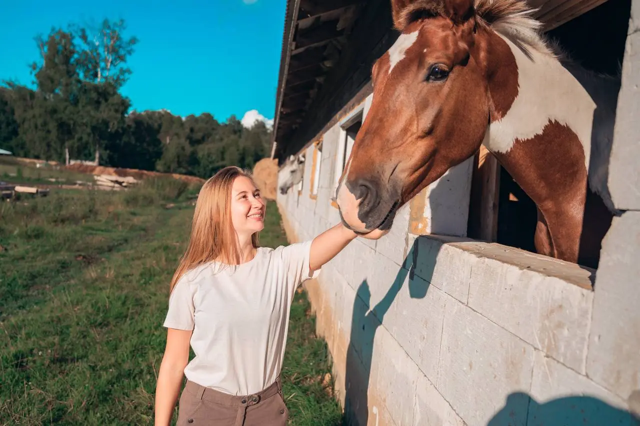 СЛАВЯНСКИЙ КОННЫЙ ВЫЕЗД ОТ FRIENDS COMMUNITY НА 3 ДНЯ🐴😍
Друзья, мы расчесываем гривы лошадям и готовим льняные рубахи!
«В поисках цветущего папоротника на конюшне»: будем плести венки, искать затерянн... | Сетка — социальная сеть от hh.ru