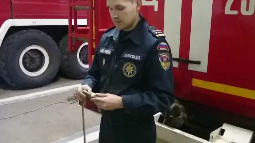 Денис Сапогов