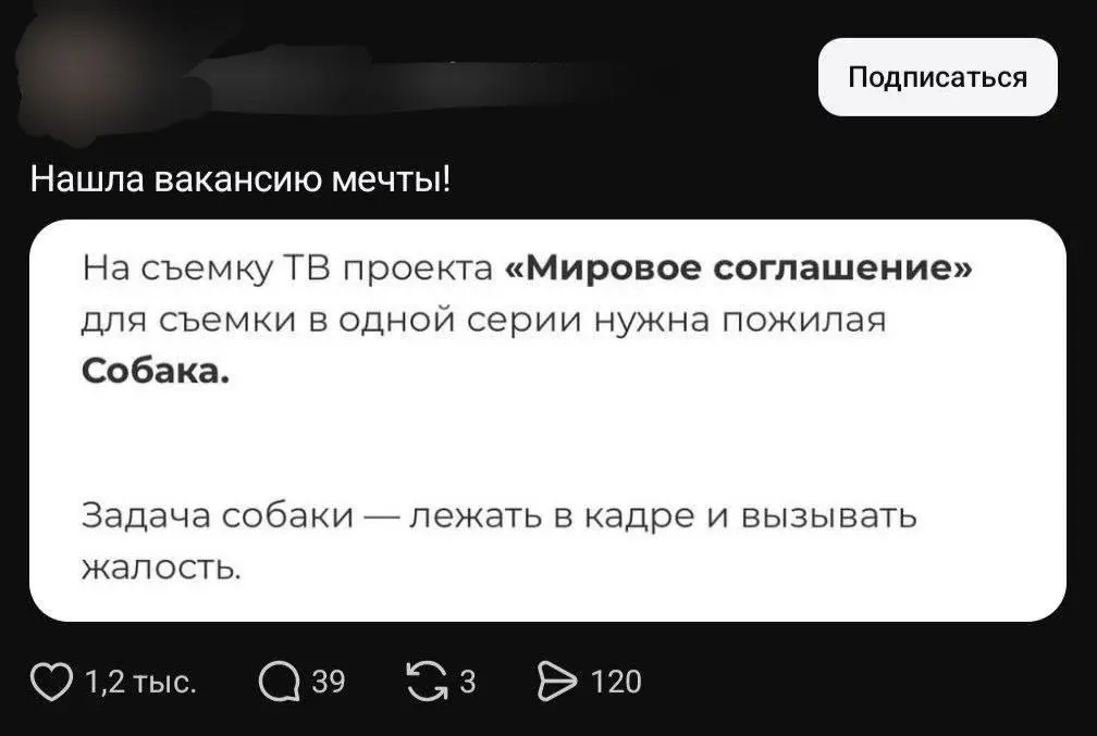 Эх, жаль, что только собак берут 😂
БЛОГ В ТГ / БЛОГ В MAX
#Юмор #Собака
В этом посте были ссылки, но мы их удалили по правилам Сетки | Сетка — социальная сеть от hh.ru
