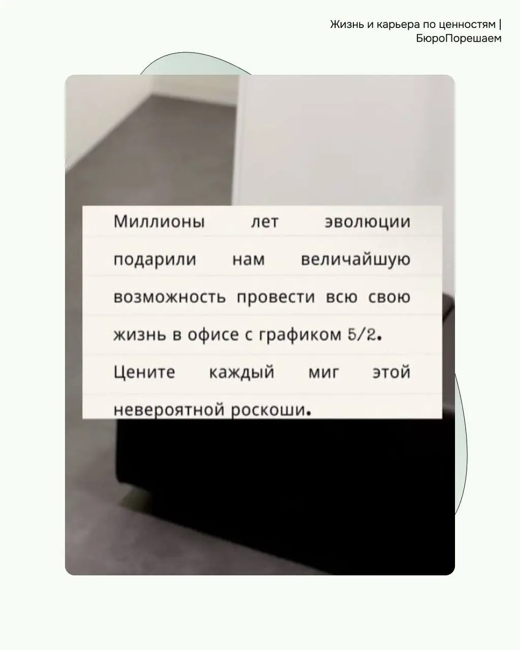 Пропустила мемную пятницу🤣 поэтому начинаем понедельник весело! Делитесь с коллегами, пусть улыбнуться 😉 | Сетка — социальная сеть от hh.ru
