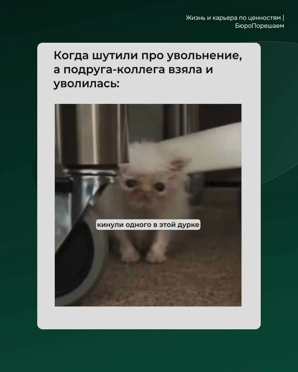 Пропустила мемную пятницу🤣 поэтому начинаем понедельник весело! Делитесь с коллегами, пусть улыбнуться 😉 | Сетка — социальная сеть от hh.ru
