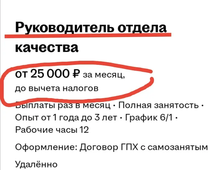 Рукводитель за 25 тыщ рублей, график 6/1 и 12 часовой день | Сетка — социальная сеть от hh.ru