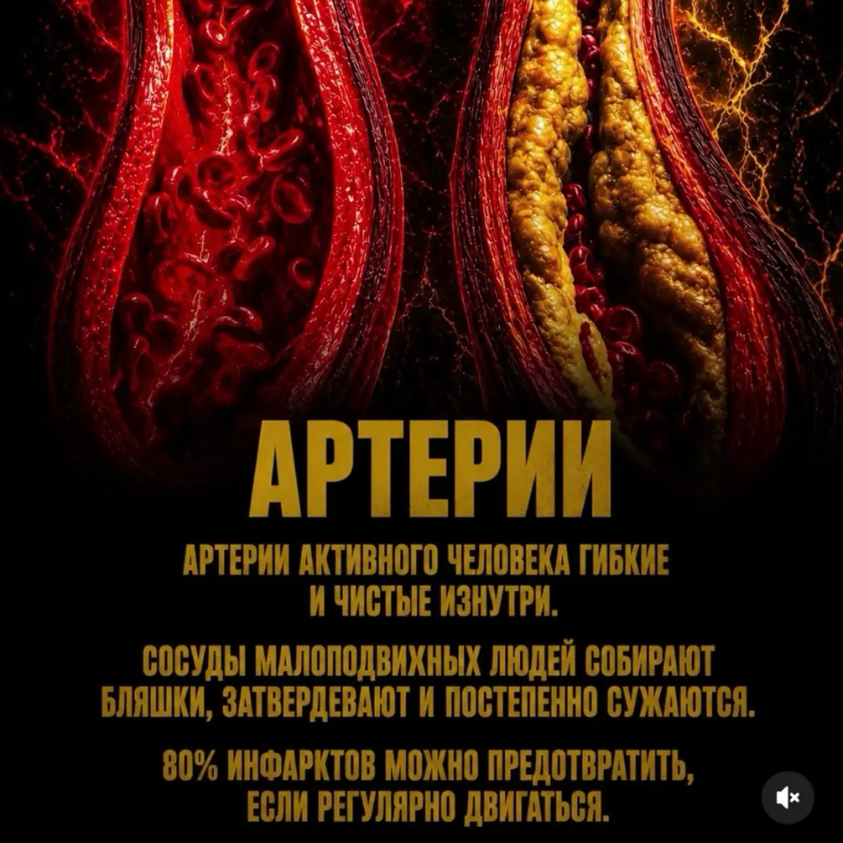 💭✅ | Сетка — социальная сеть от hh.ru