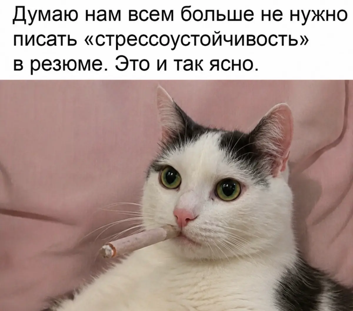 Сетка — социальная сеть от hh.ru