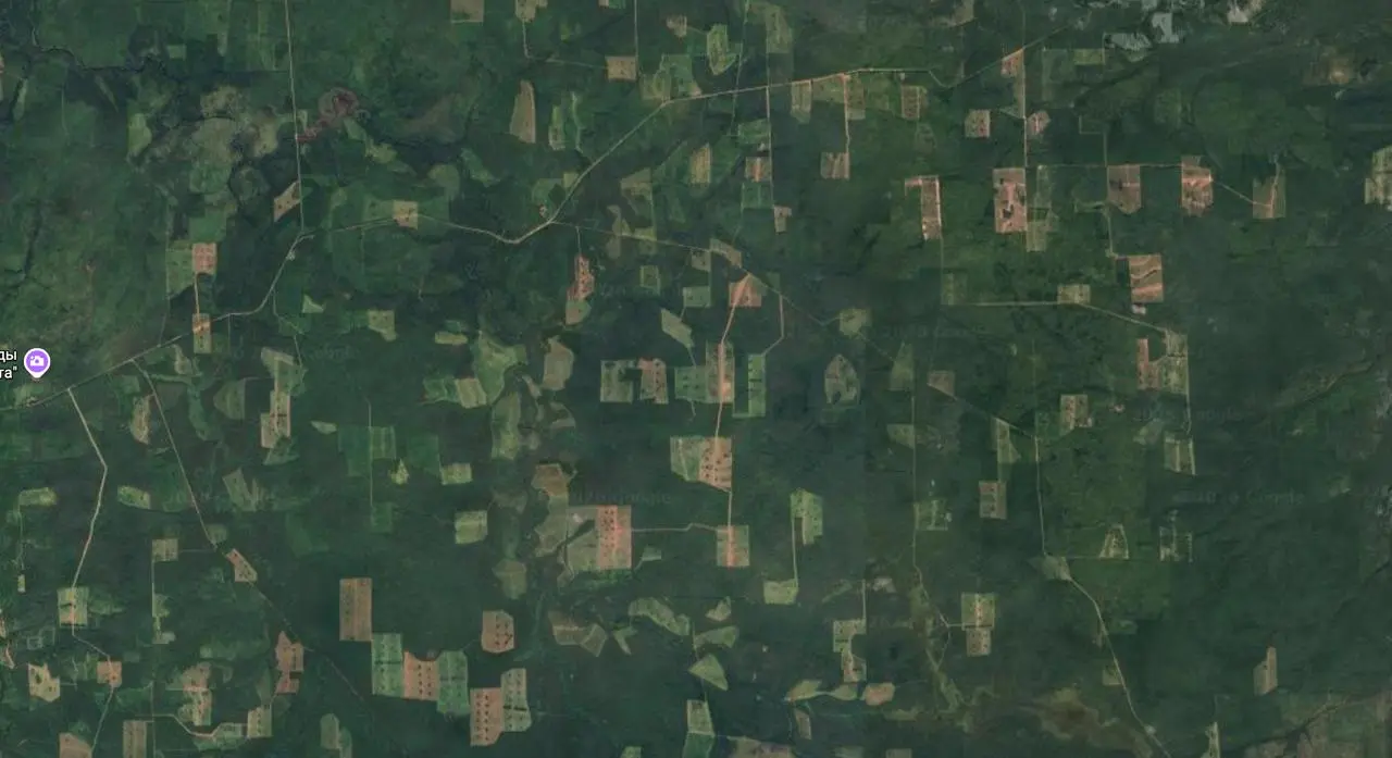 Обновились спутниковые снимки в Google Maps. И я залипла на карте Сибири.
Иркутская область, Красноярский край, вдоль Ангары. Заходишь на любую точку — и везде «заплатки» | Сетка — социальная сеть от hh.ru