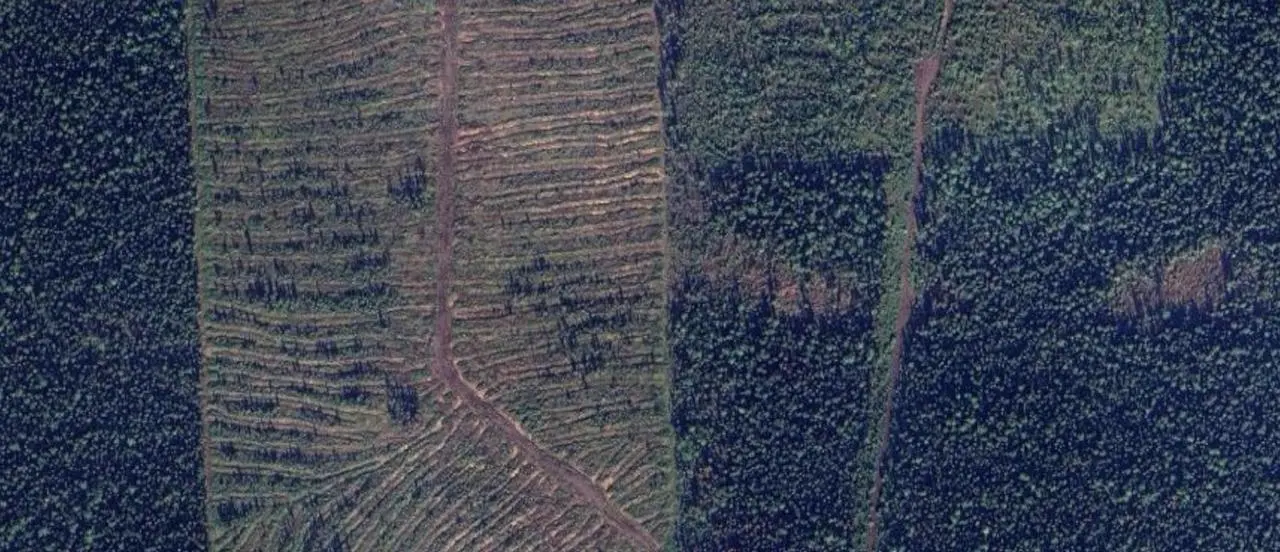 Обновились спутниковые снимки в Google Maps. И я залипла на карте Сибири.
Иркутская область, Красноярский край, вдоль Ангары. Заходишь на любую точку — и везде «заплатки» | Сетка — социальная сеть от hh.ru