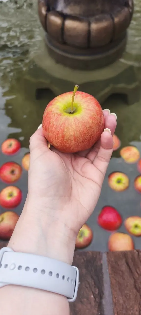 А выходные периодически сводят меня с ума с танцами💃💃
И никому не верьте, что после 35 ото всего болит спина и ноги у меня они и до 35 болели - главное настроение и хорошая компания 👌 | Сетка — социальная сеть от hh.ru