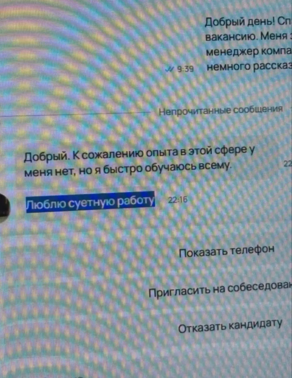 Инбокс дагестанского HR | Сетка — социальная сеть от hh.ru
