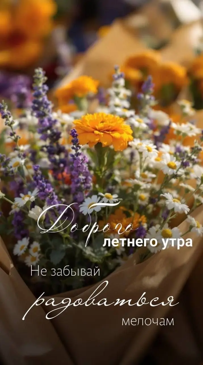 Хороший день - это когда замечаешь мелочи. Радуйтесь мелочам и настроение будет лучше)
Хорошего вам дня! ❤️ | Сетка — социальная сеть от hh.ru