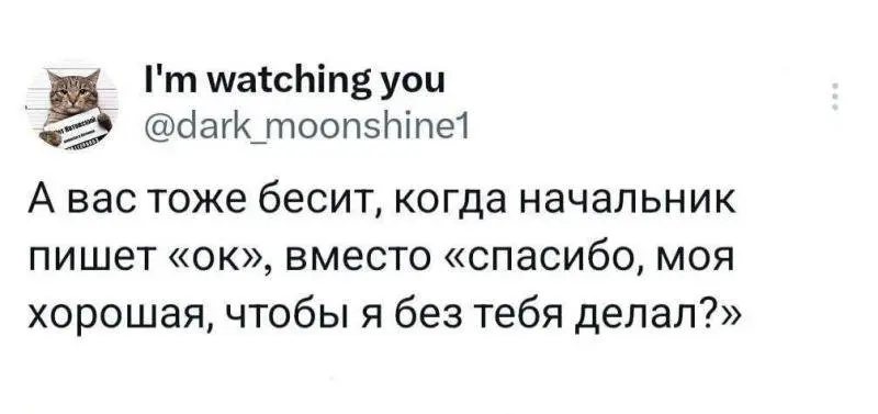 #work | Сетка — социальная сеть от hh.ru