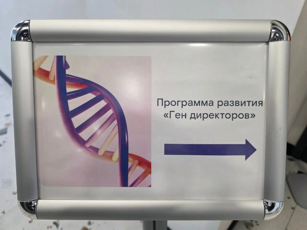 Ну что, от отдыха — сразу к делу. Пока я восстанавливала силы, наша команда совместно с партнерами из CBSD сопровождала масштабный тренинг в Ростелекоме для директоров ДЗО | Сетка — социальная сеть от hh.ru