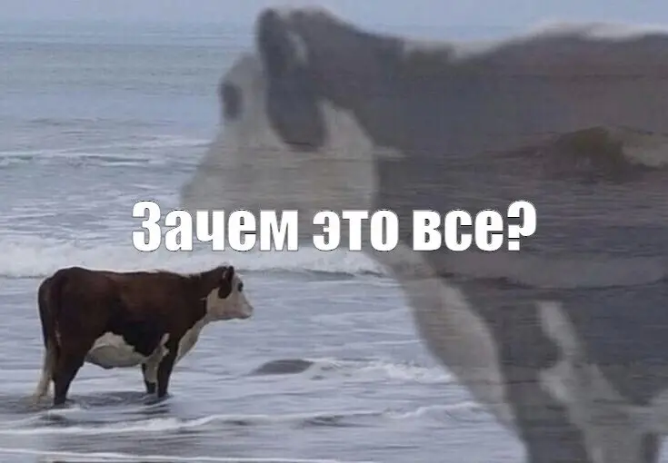 ПЕРЕКЛИЧКА | Сетка — социальная сеть от hh.ru