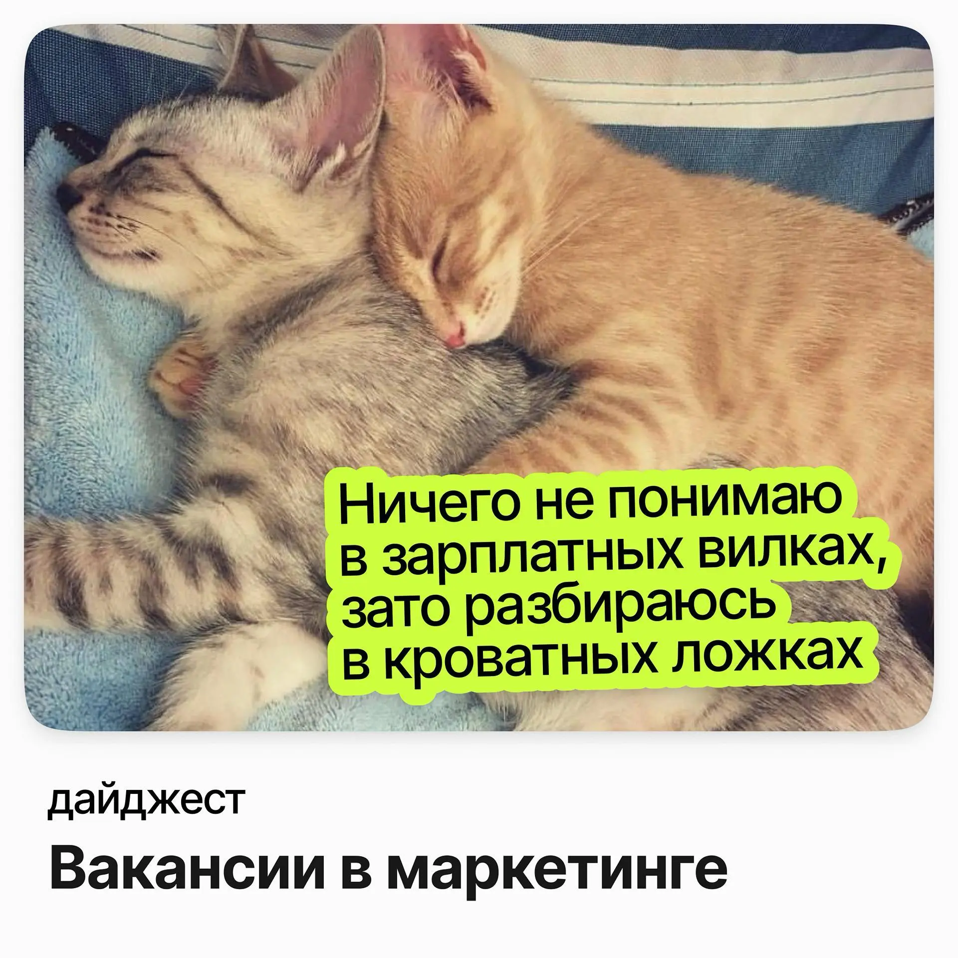 💼💼💼Вакансии в маркетинге — на которые стоит обратить внимание
Brand Manager / WINLINE
Зарплата: от 230 000 ₽ /на руки
Подробнее
Руководитель направления трейд-маркетинга / Детский мир
Зарплата: от 193... | Сетка — социальная сеть от hh.ru