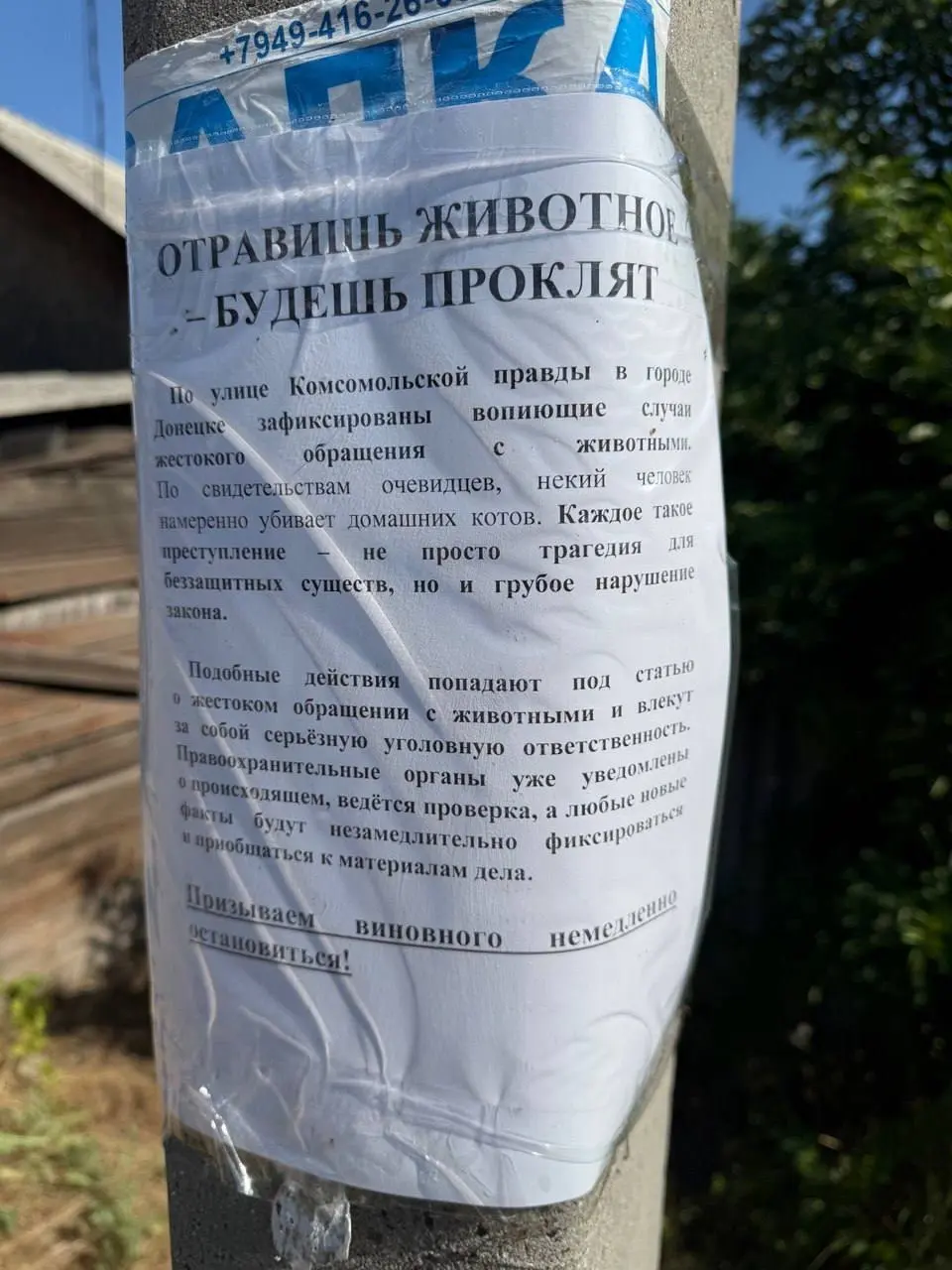 Тем временем в Донецке такие объявления | Сетка — социальная сеть от hh.ru