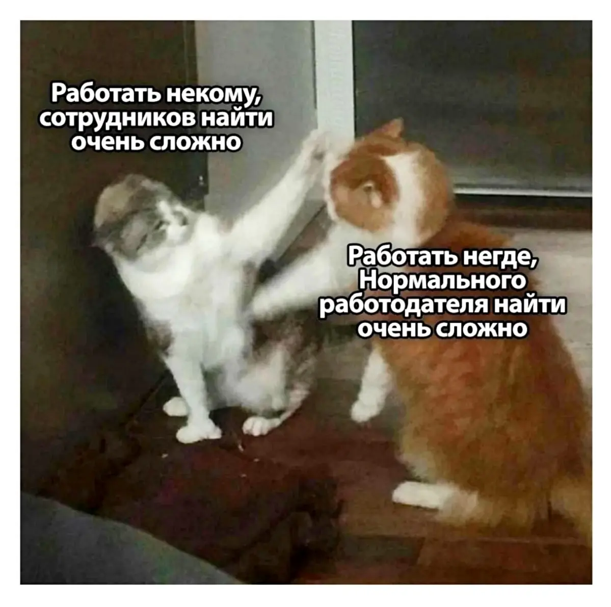 Сетка — социальная сеть от hh.ru