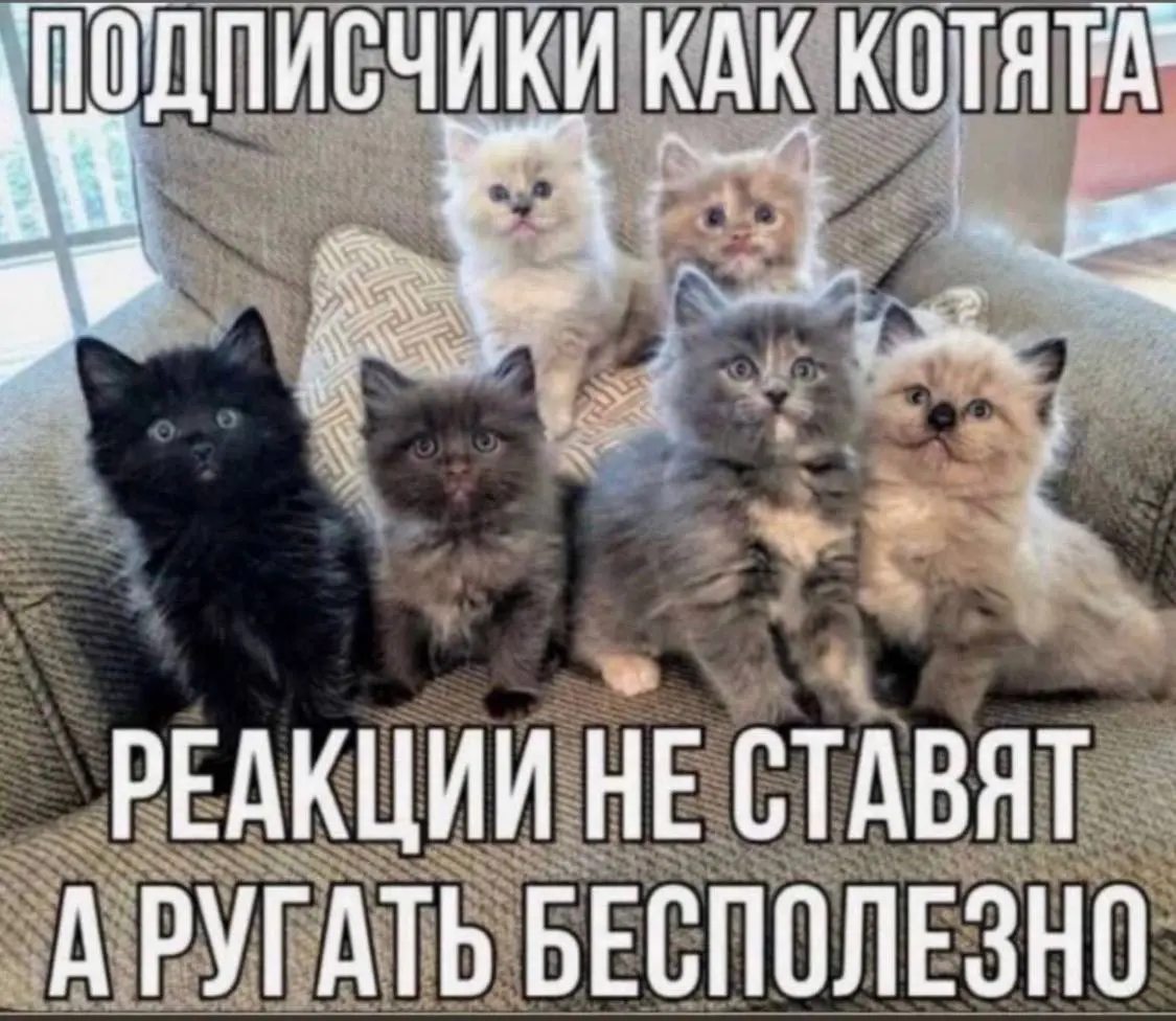 Напоминание 📋 | Сетка — социальная сеть от hh.ru