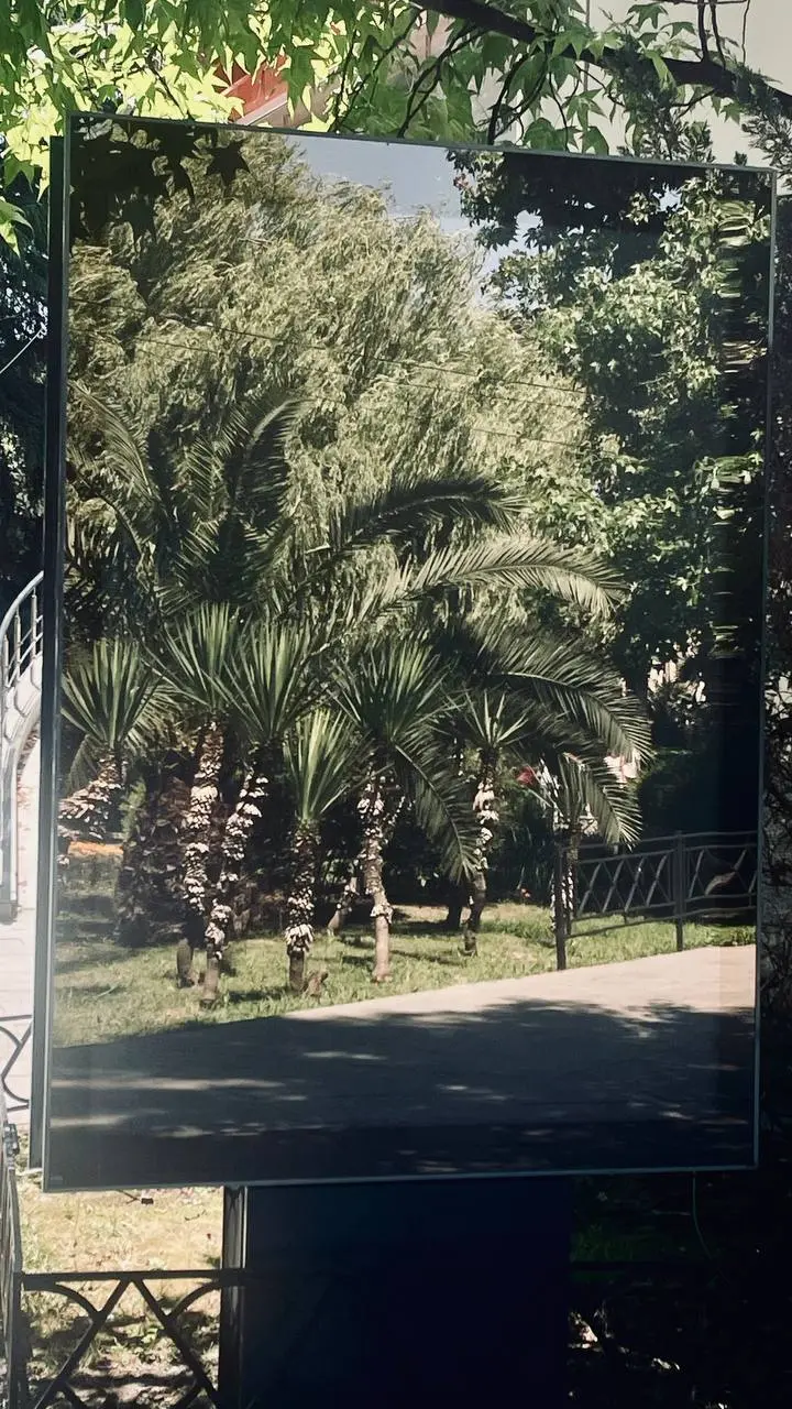 🌳 Психологические прогулки в TRANZALOGIA! 🌿
Хотите, чтобы терапия шла в движении? Прогулки помогают снизить тревогу, говорить свободнее и находить новые смыслы в простых вещах — а природа даёт нужные ... | Сетка — социальная сеть от hh.ru