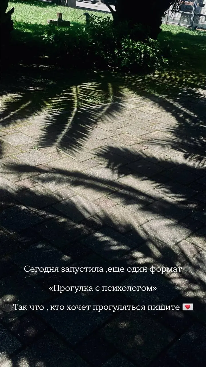 🌳 Психологические прогулки в TRANZALOGIA! 🌿
Хотите, чтобы терапия шла в движении? Прогулки помогают снизить тревогу, говорить свободнее и находить новые смыслы в простых вещах — а природа даёт нужные ... | Сетка — социальная сеть от hh.ru