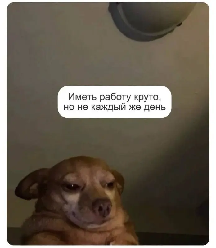 🪫Почему сотрудники без хобби убивают ваш бизнес
Многие руководители мечтают о работниках-терминаторах: пришел, сделал, ушел | Сетка — социальная сеть от hh.ru
