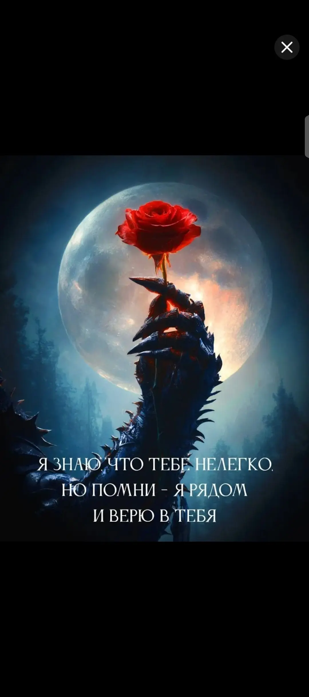 Я только сейчас прочитала, что написано на этой картинке.
Мне изначально понравилась идея изображения: Рука дракона с алой розой | Сетка — социальная сеть от hh.ru