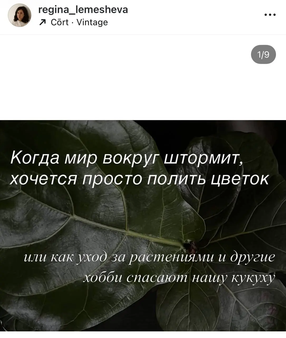 В последние пару месяцев меня накрыла новая волна интереса к одному из своих хобби - растениям | Сетка — социальная сеть от hh.ru