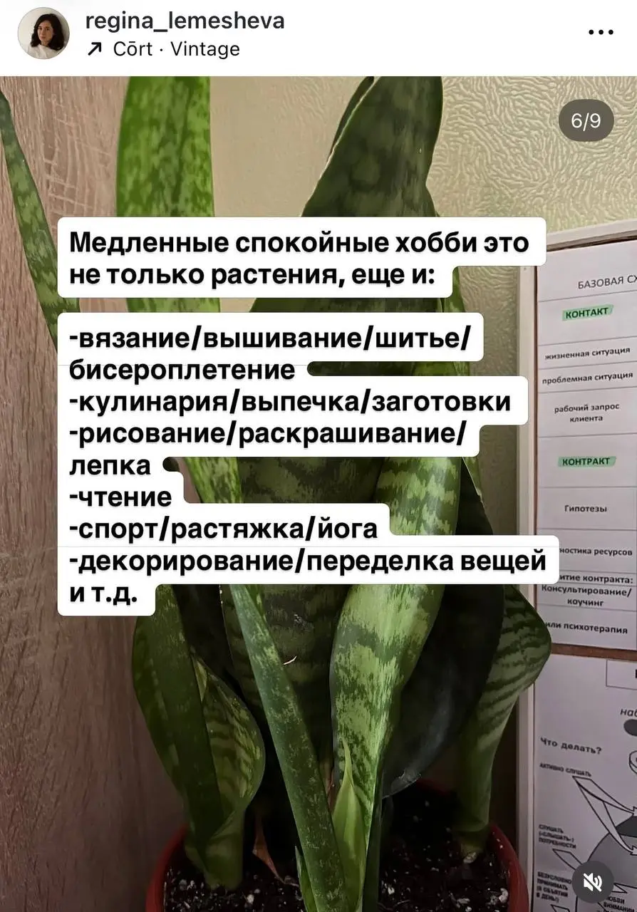 В последние пару месяцев меня накрыла новая волна интереса к одному из своих хобби - растениям | Сетка — социальная сеть от hh.ru