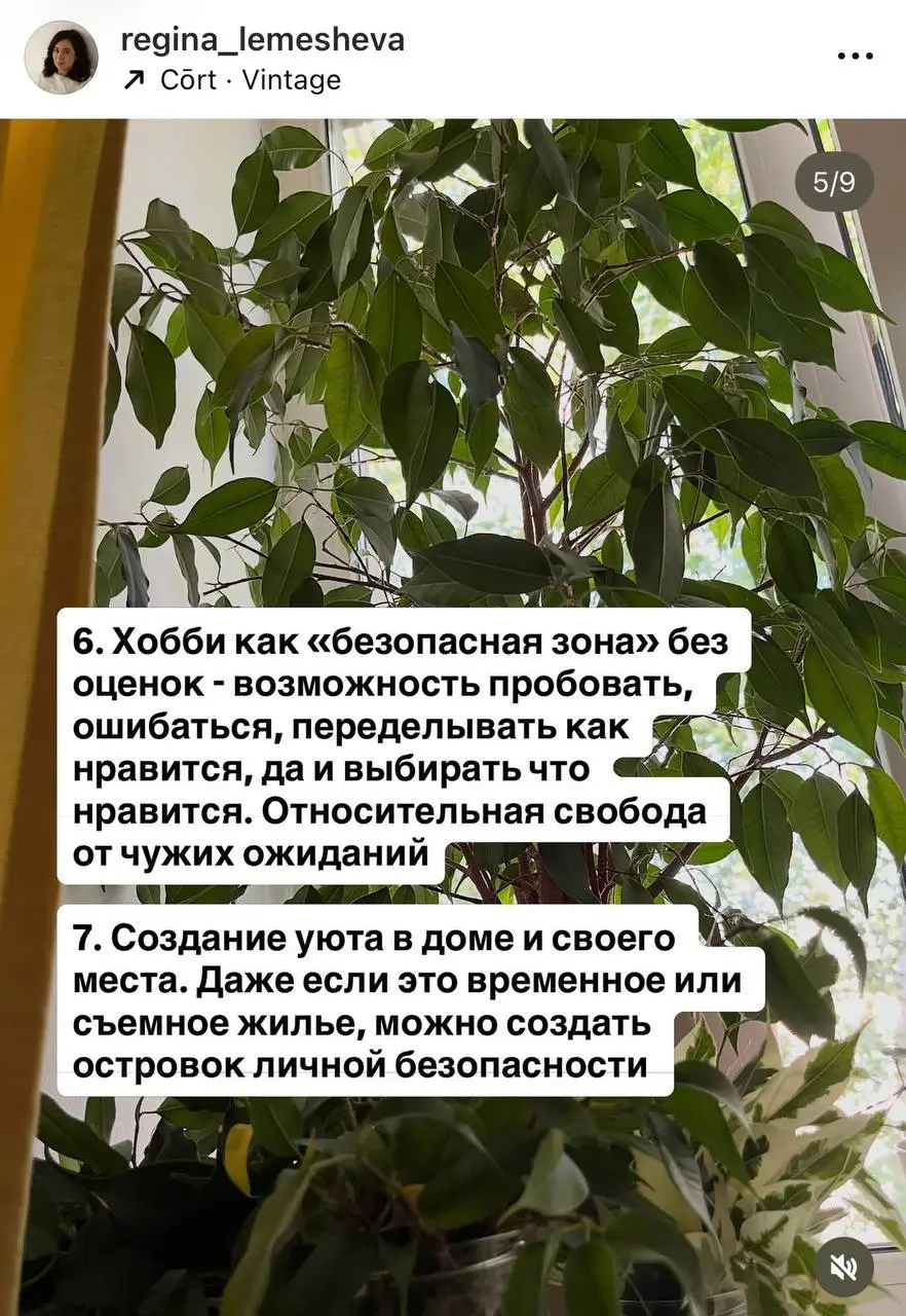 В последние пару месяцев меня накрыла новая волна интереса к одному из своих хобби - растениям | Сетка — социальная сеть от hh.ru