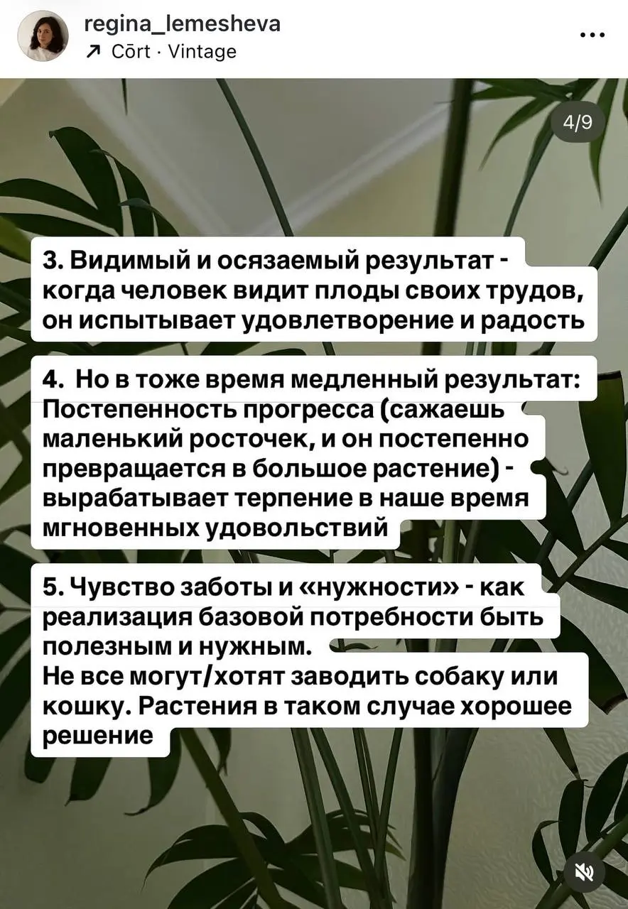 В последние пару месяцев меня накрыла новая волна интереса к одному из своих хобби - растениям | Сетка — социальная сеть от hh.ru