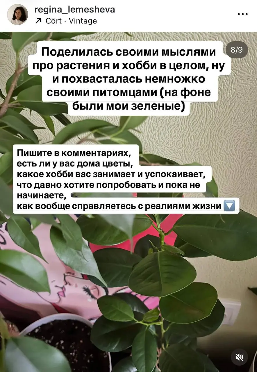 В последние пару месяцев меня накрыла новая волна интереса к одному из своих хобби - растениям | Сетка — социальная сеть от hh.ru