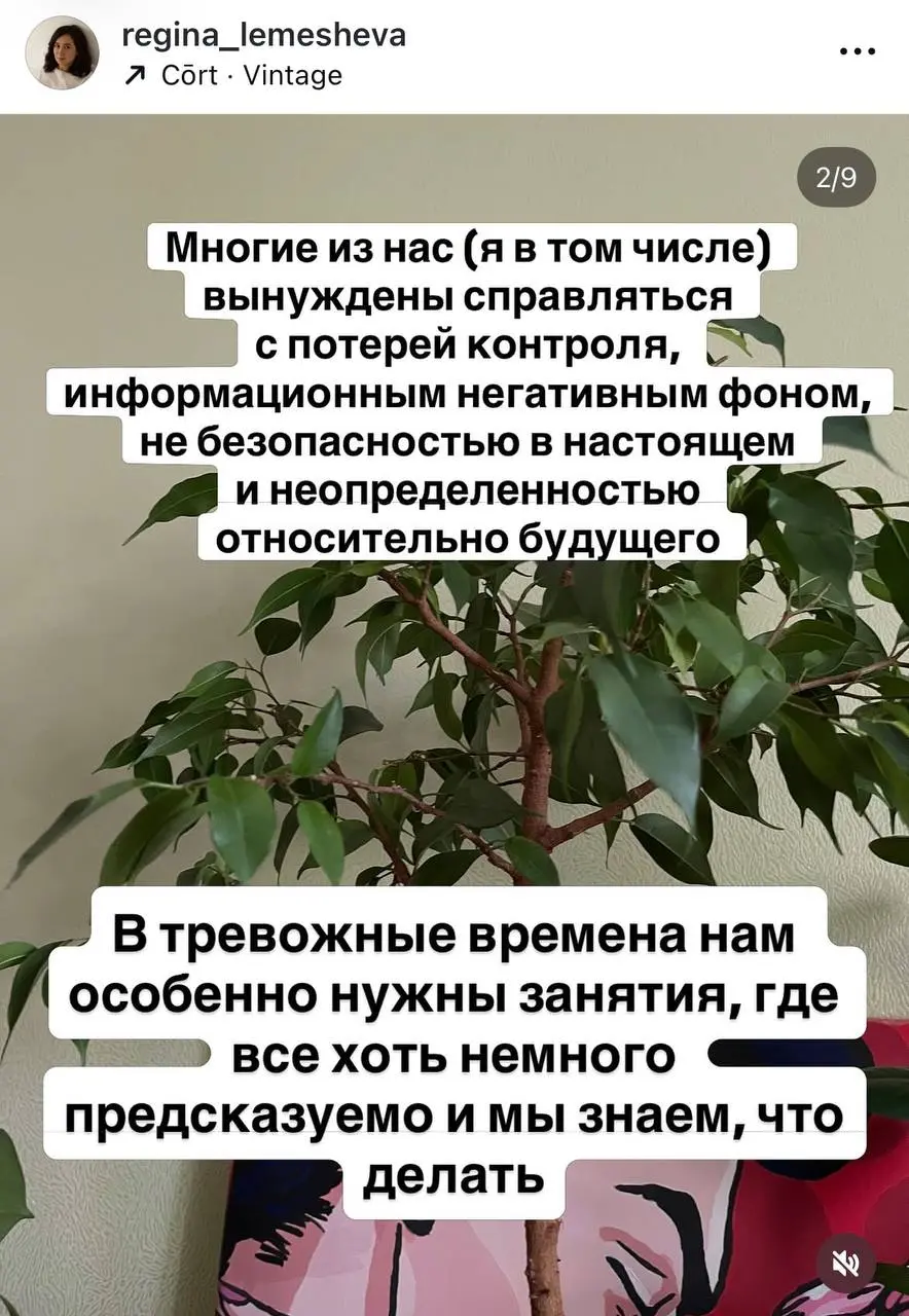 В последние пару месяцев меня накрыла новая волна интереса к одному из своих хобби - растениям | Сетка — социальная сеть от hh.ru