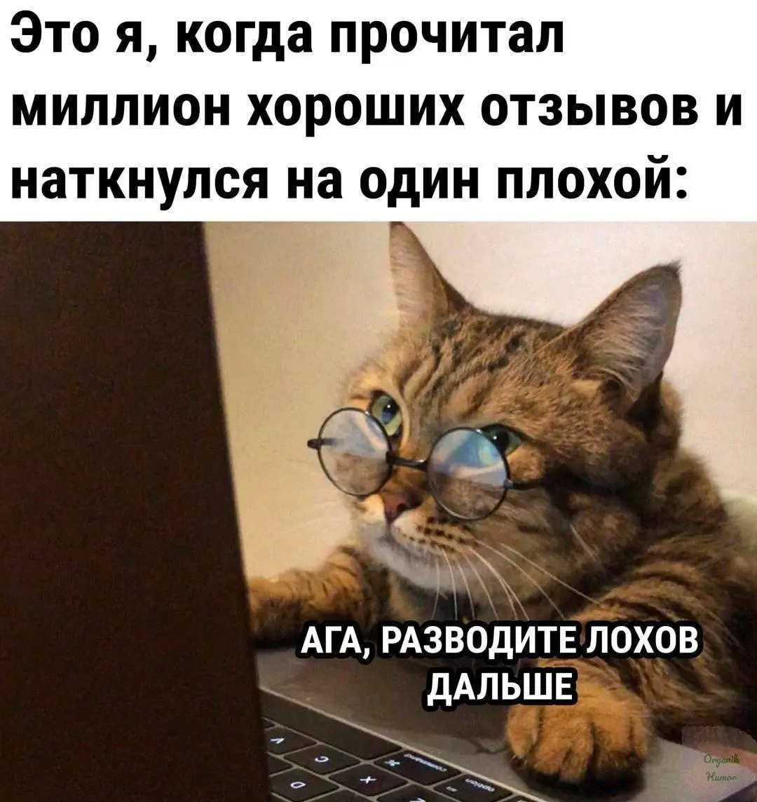 Почему 80% клиентов проверяют отзывы до того, как написать вам ✅
Вы думаете, что клиенты выбирают по цене или услугам. Они выбирают по тому, что говорят другие
Исследование | Сетка — социальная сеть от hh.ru