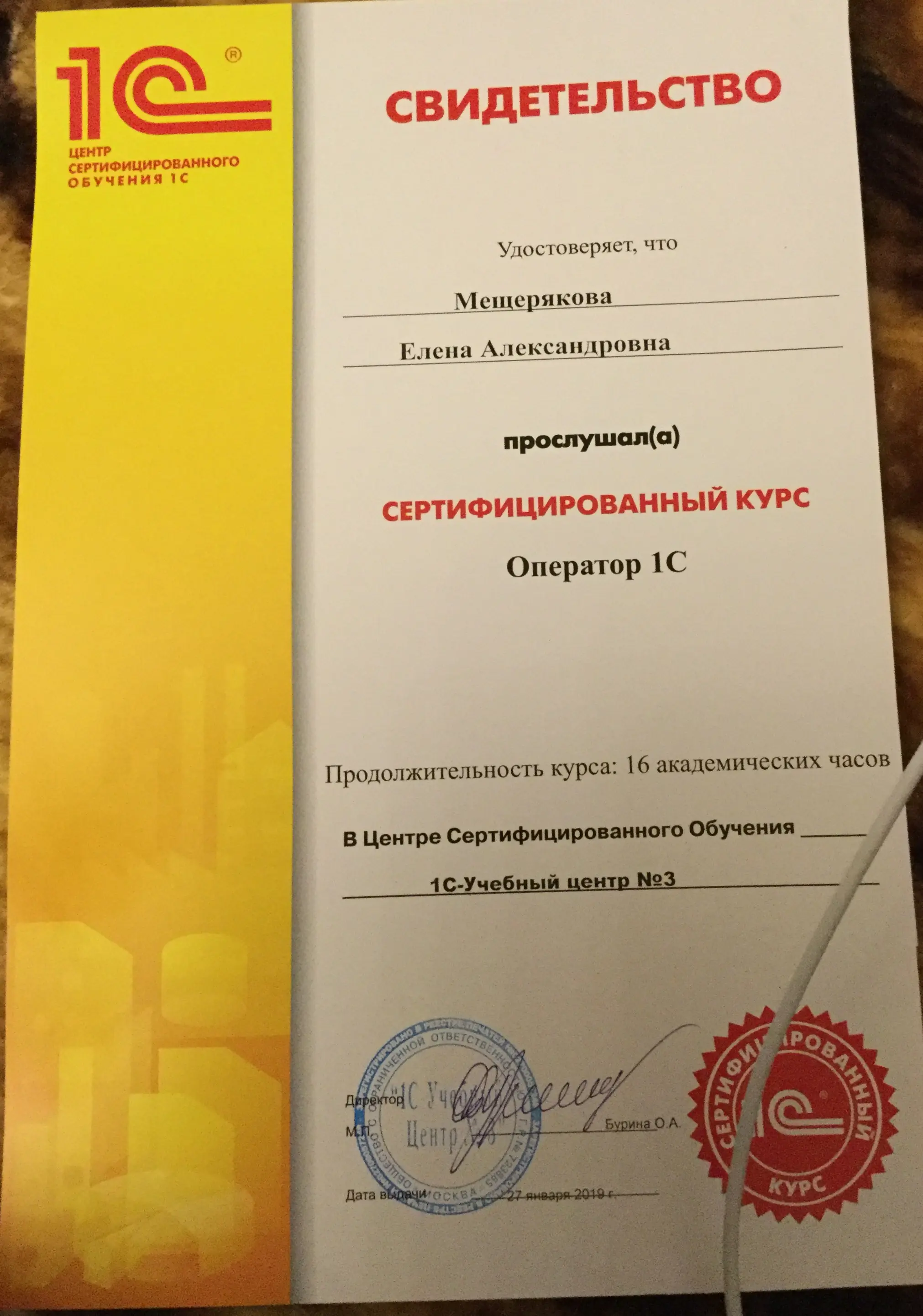 Елена Мещерякова