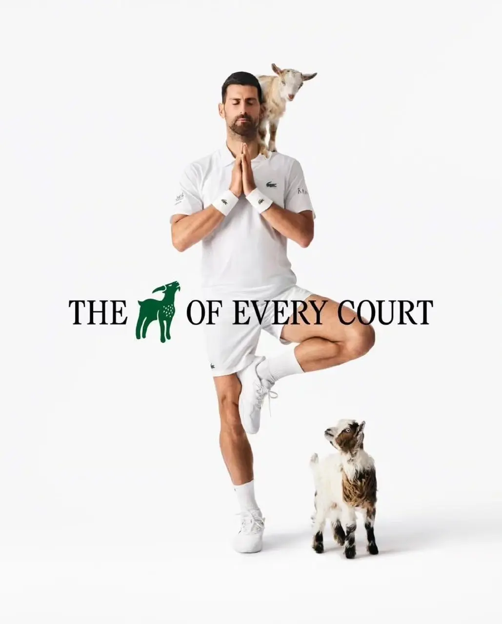 Lacoste продолжают обыгрывать прозвище Джоковича GOAT (Greatest Of All Time), которое означает «величайший на все времена» | Сетка — социальная сеть от hh.ru