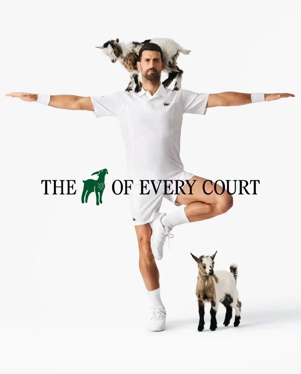 Lacoste продолжают обыгрывать прозвище Джоковича GOAT (Greatest Of All Time), которое означает «величайший на все времена» | Сетка — социальная сеть от hh.ru