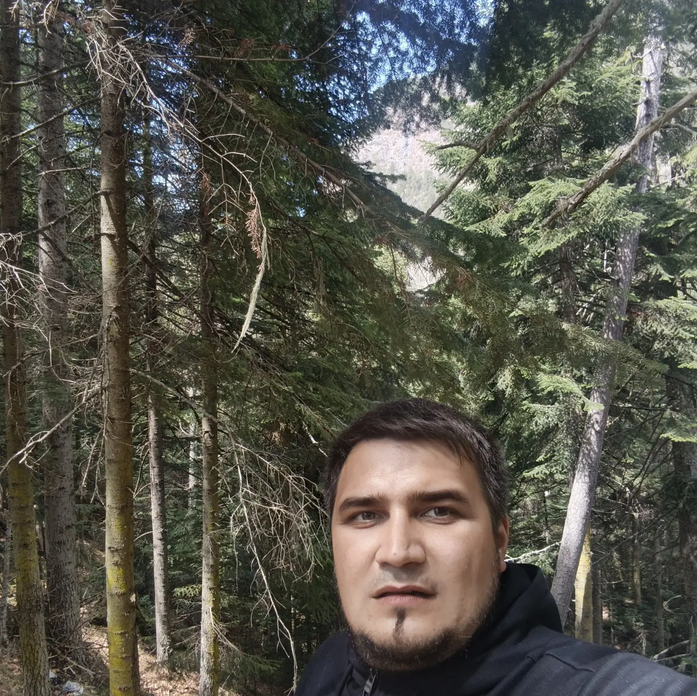 Александр Пичугин