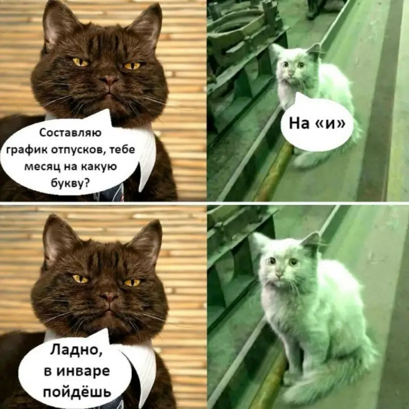 Ситуация в мире такая... | Сетка — социальная сеть от hh.ru