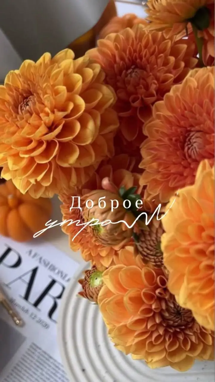 Хорошего дня вам мои дорогие! Сил и веры в лучшее. Так победим ⭐ | Сетка — социальная сеть от hh.ru