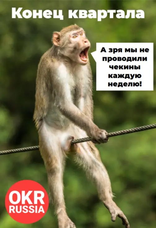 #okr #okrrussia #memes #мемы #юмор
OKR Russia: Telegram | MAX | Сетка.
В этом посте были ссылки, но мы их удалили по правилам Сетки | Сетка — социальная сеть от hh.ru