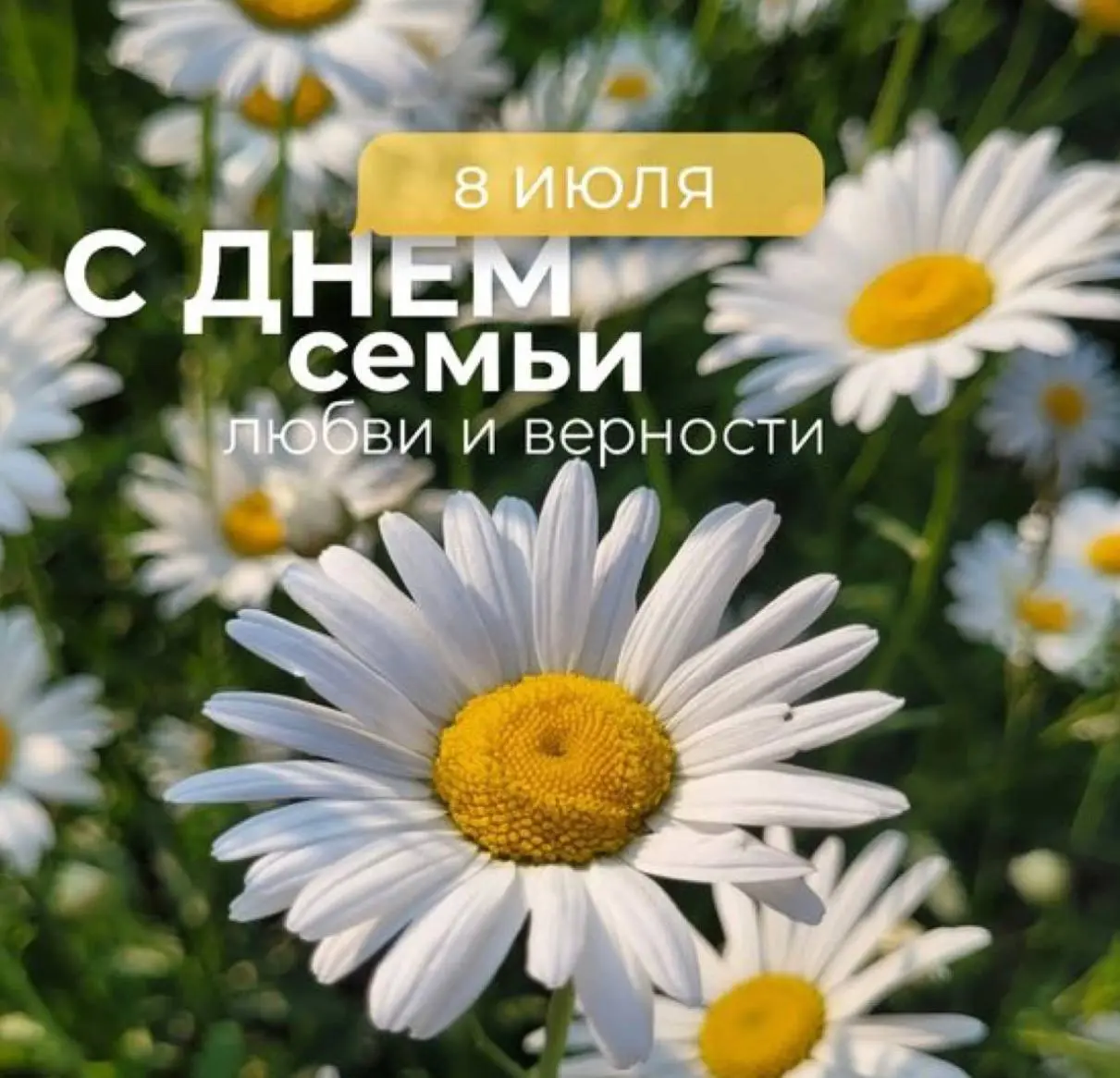 Семья, любовь, верность -
три главных ресурса, которые не выгорают ❤
Когда у нас есть надежный тыл, любые рабочие дедлайны становятся просто задачами, а не концом света 😉
Цените своих людей и помните:... | Сетка — социальная сеть от hh.ru