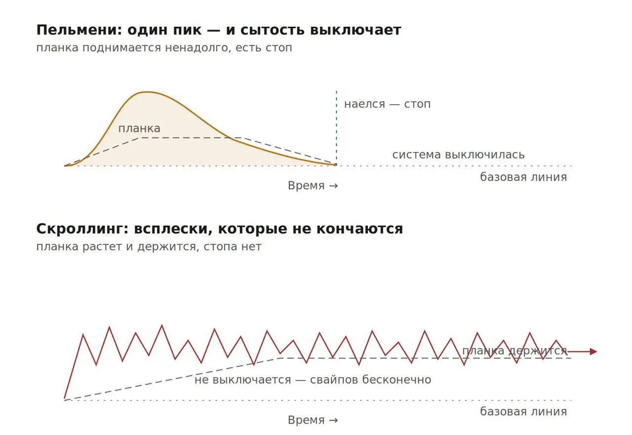 Почему скроллинг страшнее пельменей
Как я писал в части 1 и части 2, нами во многом управляют гормоны и нейромедиаторы, мы отчасти роботы | Сетка — социальная сеть от hh.ru