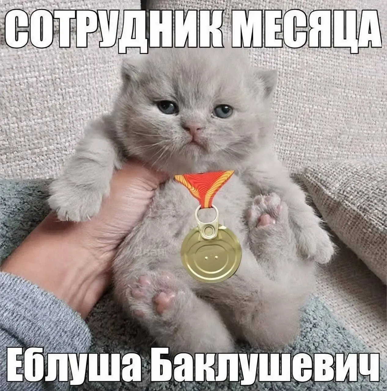 Как работать над продуктом, у которого неоднозначная репутация на рынке?
Представьте, что вы работаете в классной компании | Сетка — социальная сеть от hh.ru